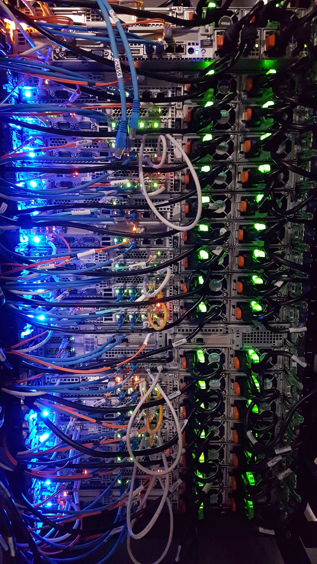 vps program__