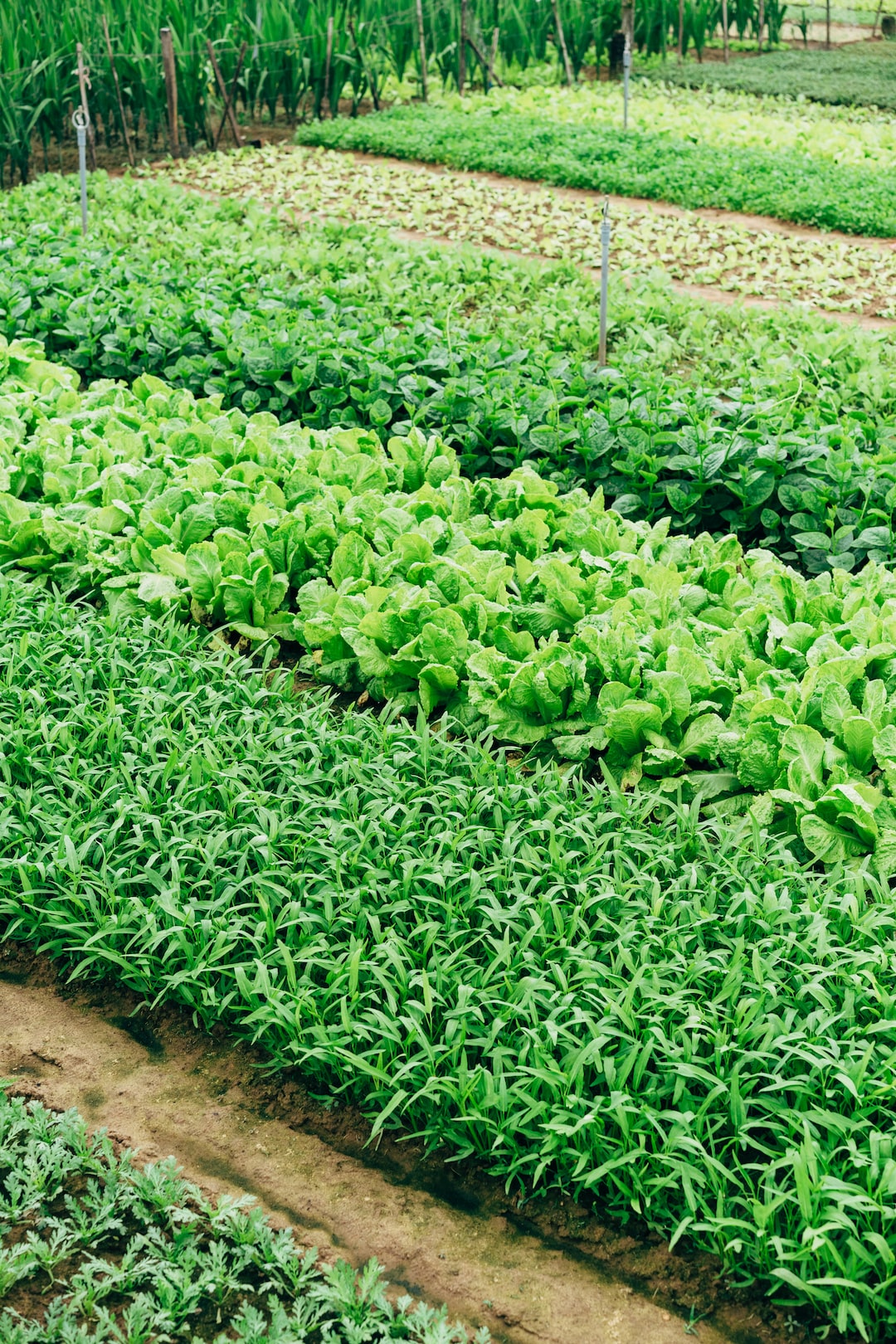 farm para kazanma_